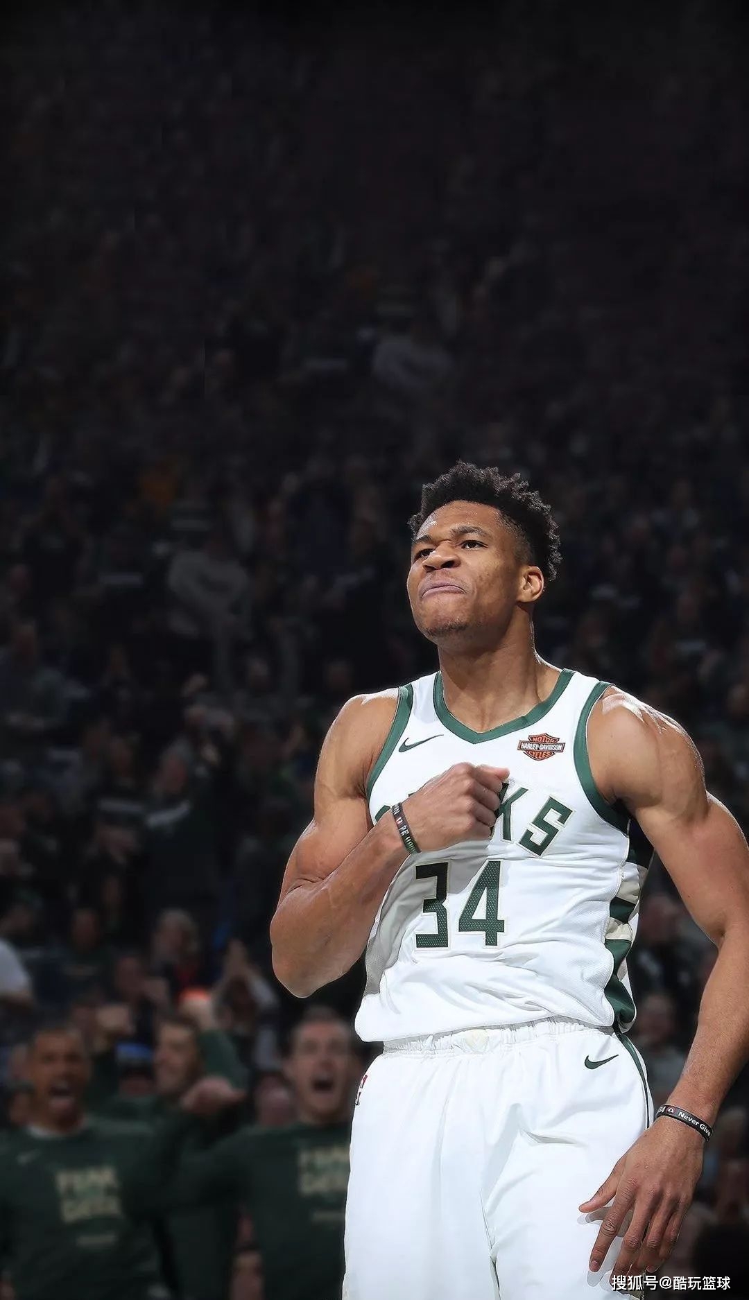 蹼的胜负 蹼的胜负